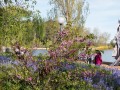 0929-1647 Floriade (1050060)